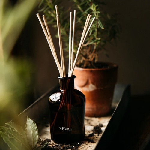 Eval reed diffusers - reed,